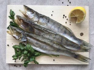 Чехонь вяленая: Судак вяленый